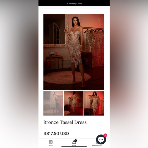 Bronze Tassel Dress - Picture 5 of 5